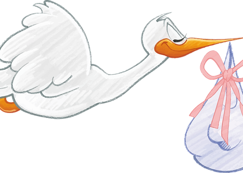 Maternity Leave South Africa