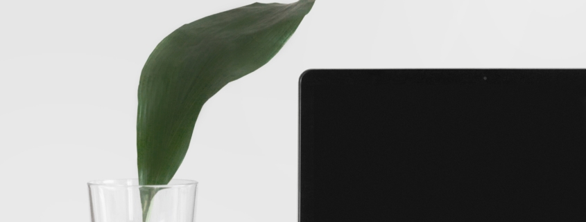 Risky Business – Companies Buried in Digital Privacy Risk.