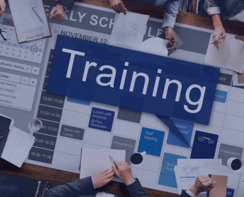 Training Strategies