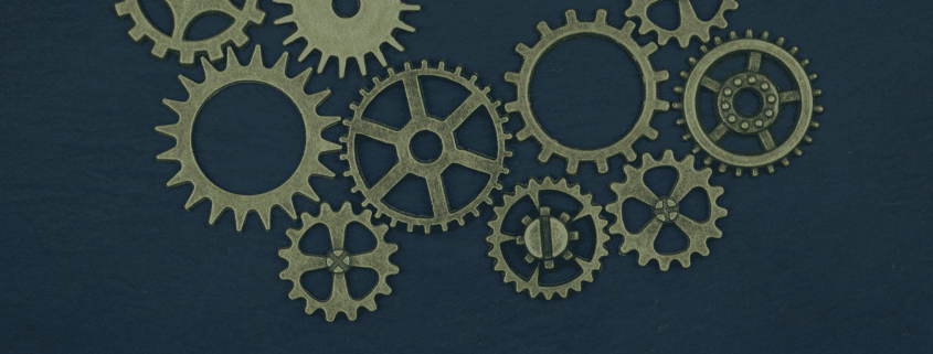 HR's Role in Navigating Political Transitions