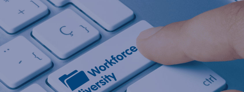 Impact of Political Change on Workforce Diversity